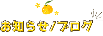 お知らせ/ブログ